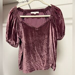 LOFT Velvet top